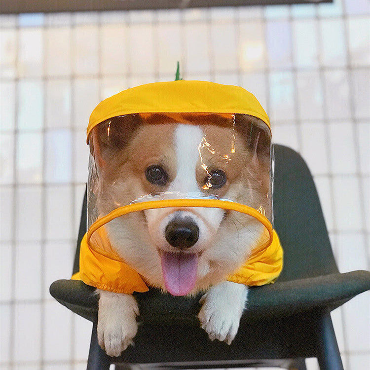 Pet cute dinosaur raincoat