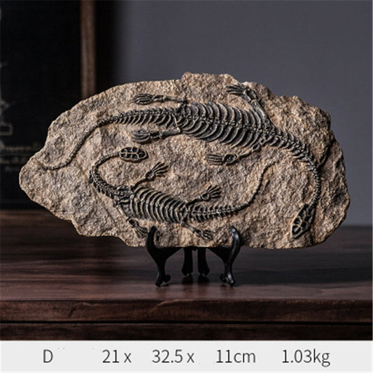 Dinosaur Specimen Fossil Study Home Living Room