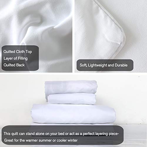 Dinosaur Print Bedding, Cute Hand Drawn Dino Duvet Cover set