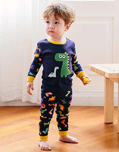 Buddy Dino Long Sleeve Dinosaur Pajamas 2pcs Set