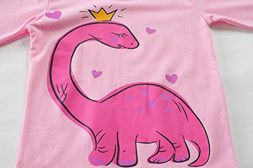 Girls Dinosaur Pink Pajamas