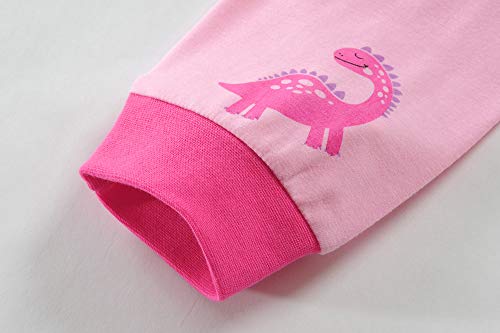 Girls Dinosaur Pink Pajamas