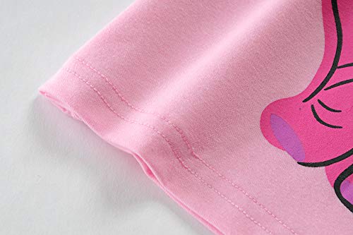 Girls Dinosaur Pink Pajamas