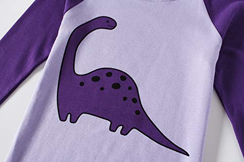 Dinosaur Baby Girls Long Sleeve Pajamas Sets