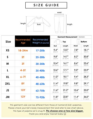 Buddy Dino Long Sleeve Dinosaur Pajamas 2pcs Set