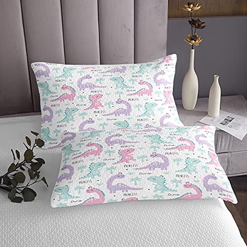 unique dinosaur print pillow covers