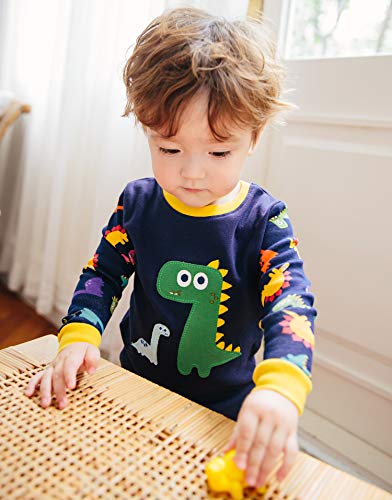 Buddy Dino Long Sleeve Dinosaur Pajamas 2pcs Set